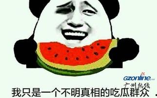 吃瓜表情啥意思是什么,网络热词背后的文化内涵